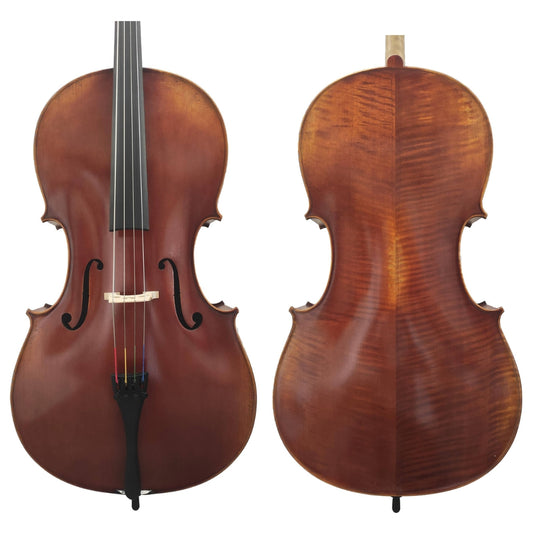 Cello v. David Lien, Professional B, antik schattiert