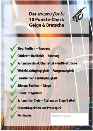 Der Streicherwelt-10-Punkte-Check