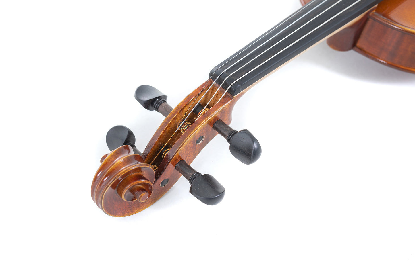 Violine GEWA Maestro 1, inkl. GEWA Bio Violinkoffer