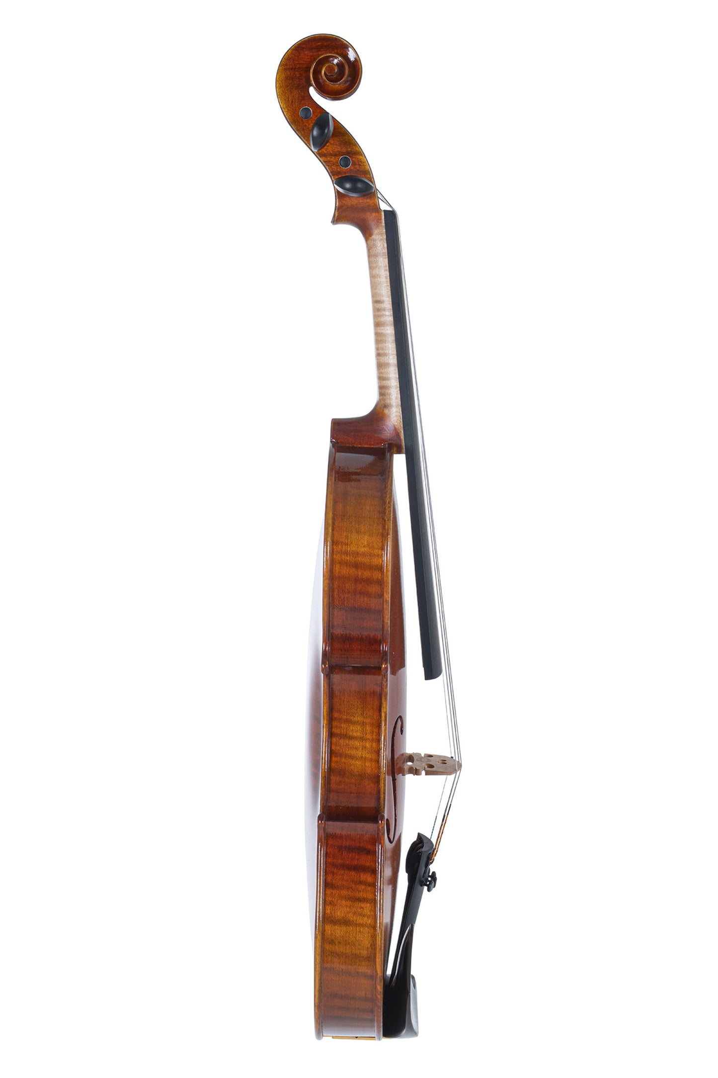 Violine GEWA Maestro 1, inkl. GEWA Bio Violinkoffer