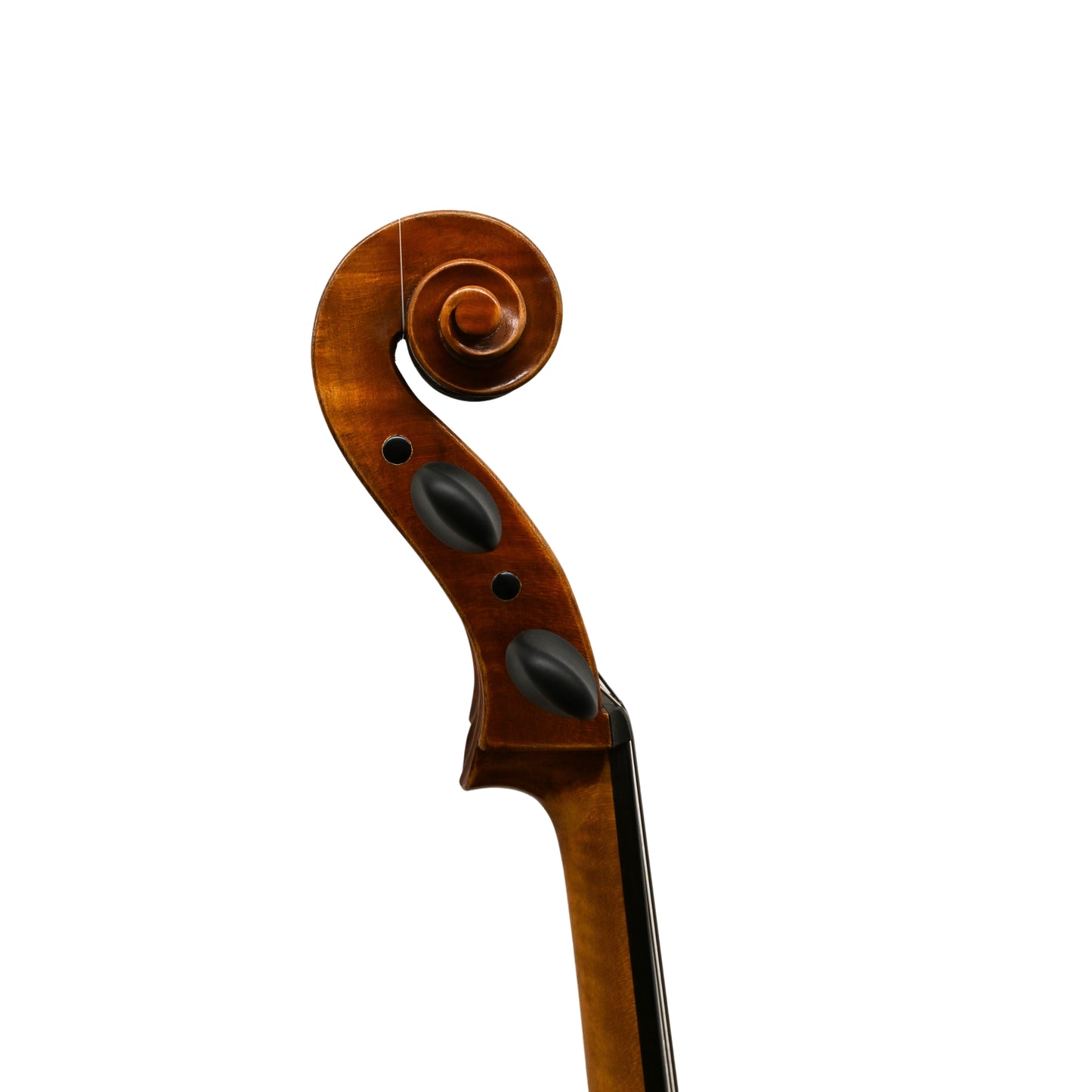 Feines Cello, Amati-Modell