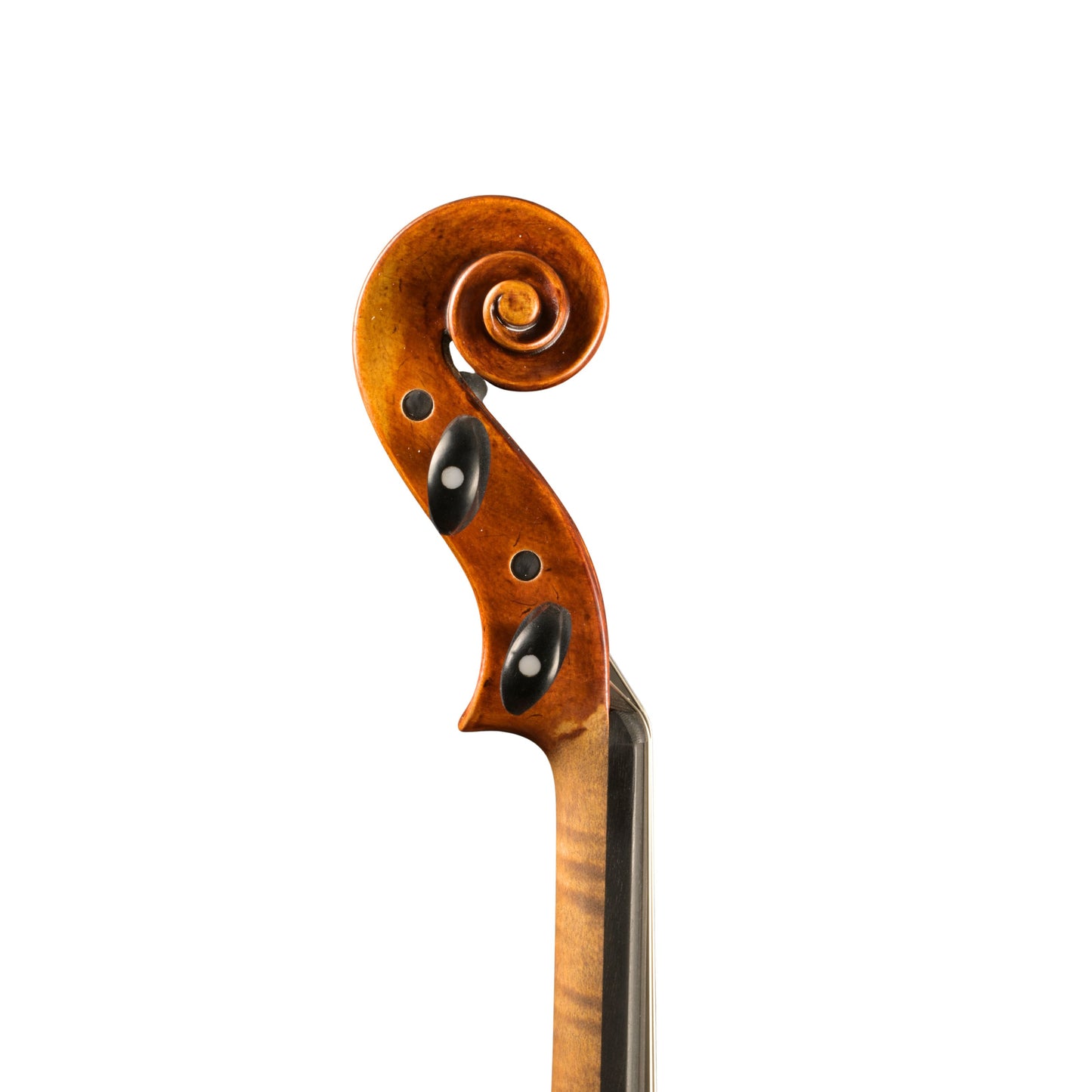 Rumänische Meistervioline von Alin Stoica, Reghin 2026