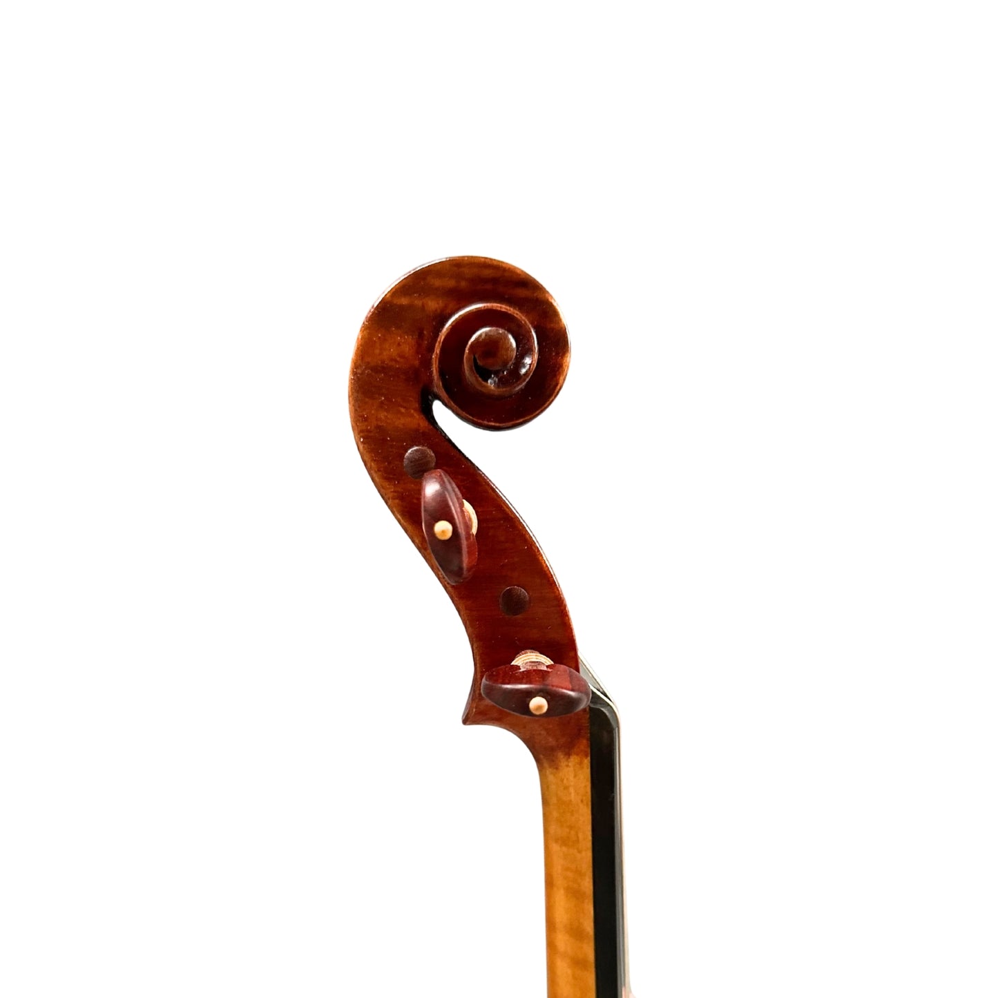Konzertvioline "Prestige" No.3