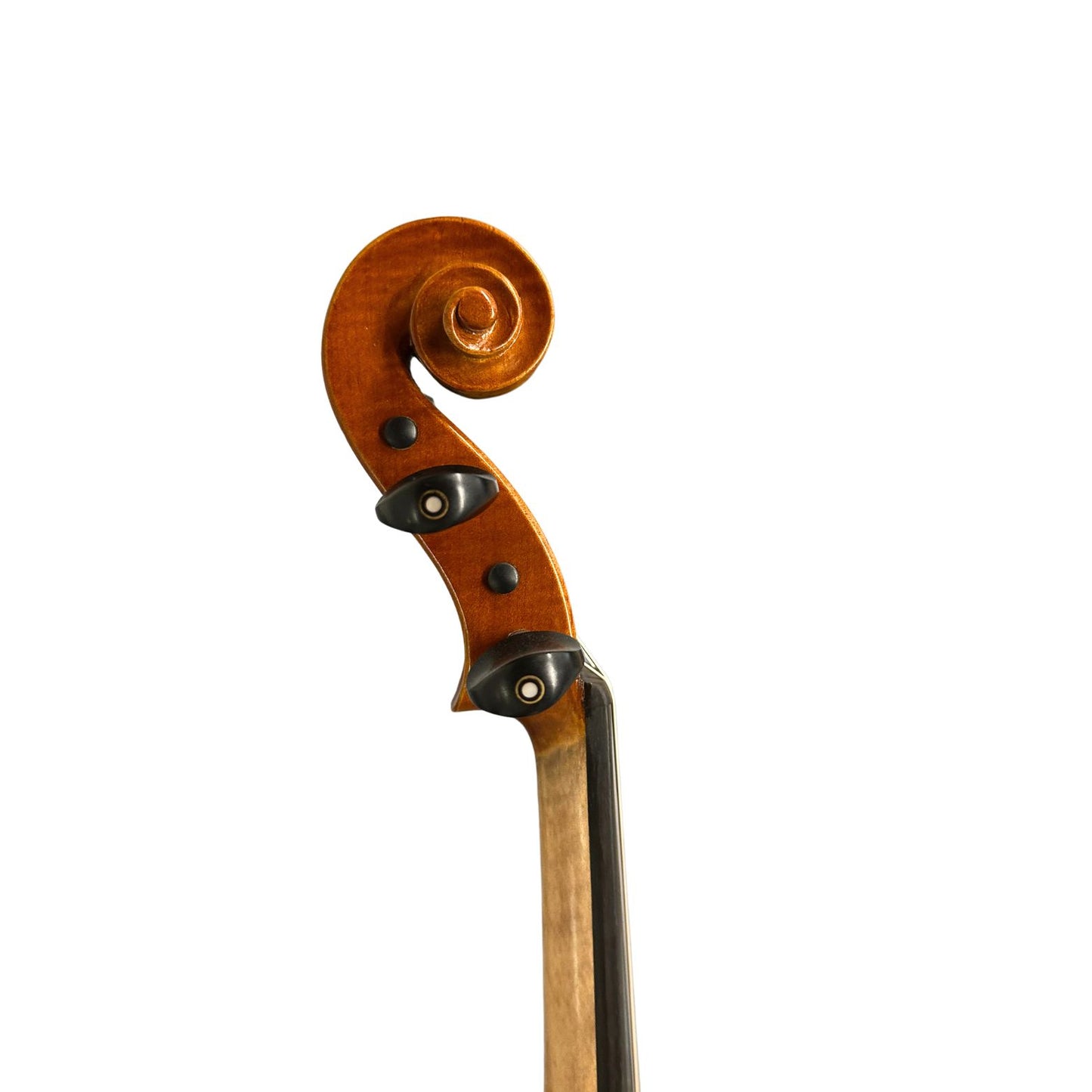 Viola Bratsche David Lien Pro D, Gr. 16'', 40.5 cm