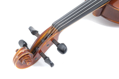 Violinset GEWA Allegro, europäisches Holz, Larsen Saiten, Milo Stamm Steg