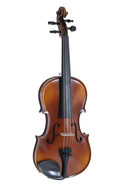 Violinset GEWA Allegro, europäisches Holz, Larsen Saiten, Milo Stamm Steg