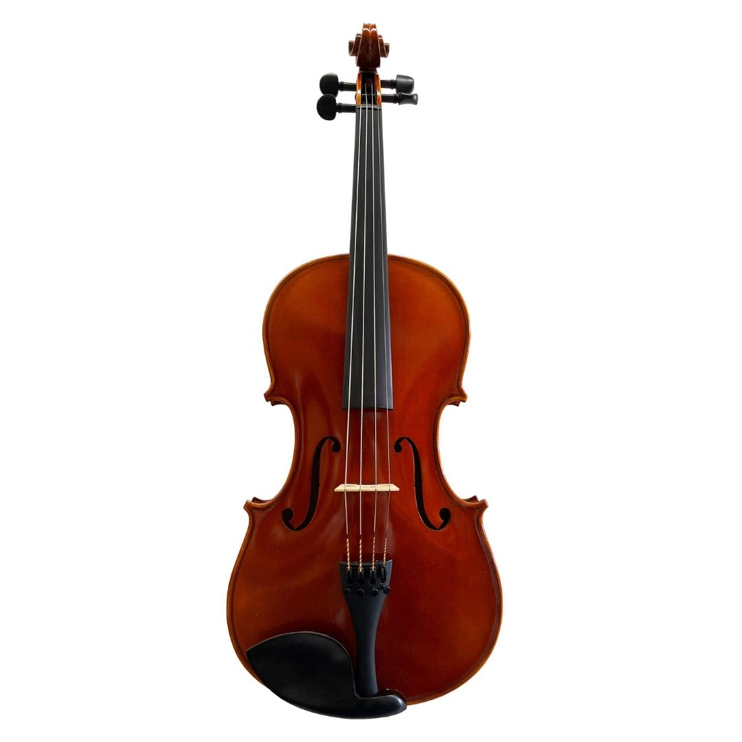 Viola Bratsche David Lien Pro A+ 16", 40,5 cm Corpuslänge