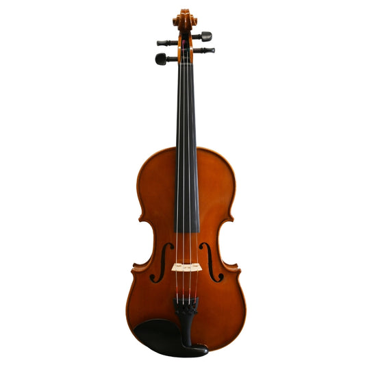 Violine v. David Lien, Professional B