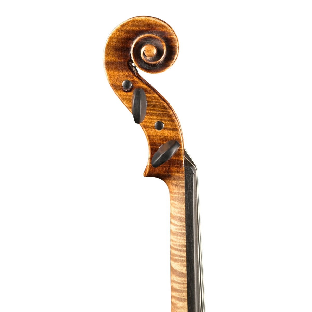 Deutsche Violine von Peter Siegried Heffler 2026/04