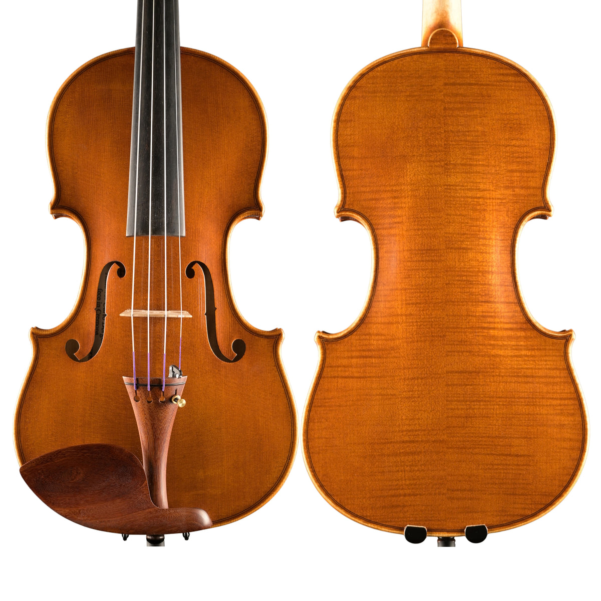 Violine v. David Lien, Bergonzi-Kopie 1736