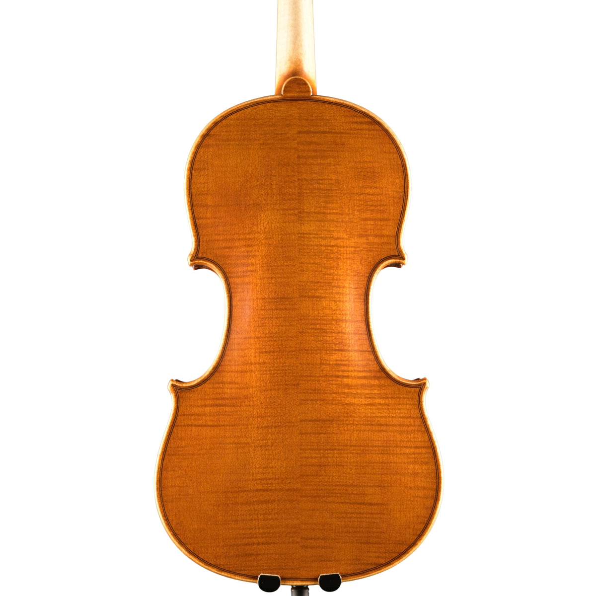 Violine v. David Lien, Bergonzi-Kopie 1736