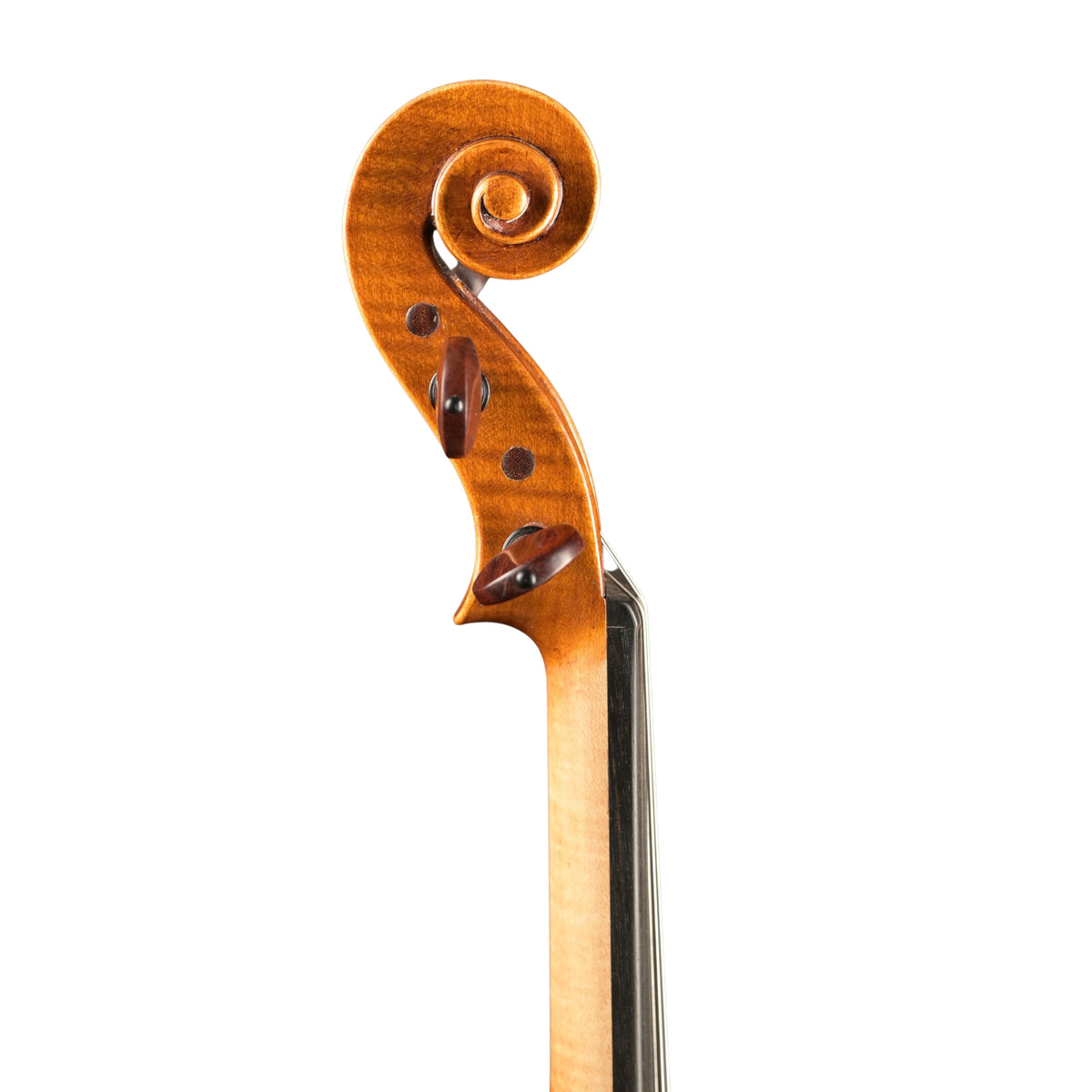 Violine v. David Lien, Bergonzi-Kopie 1736