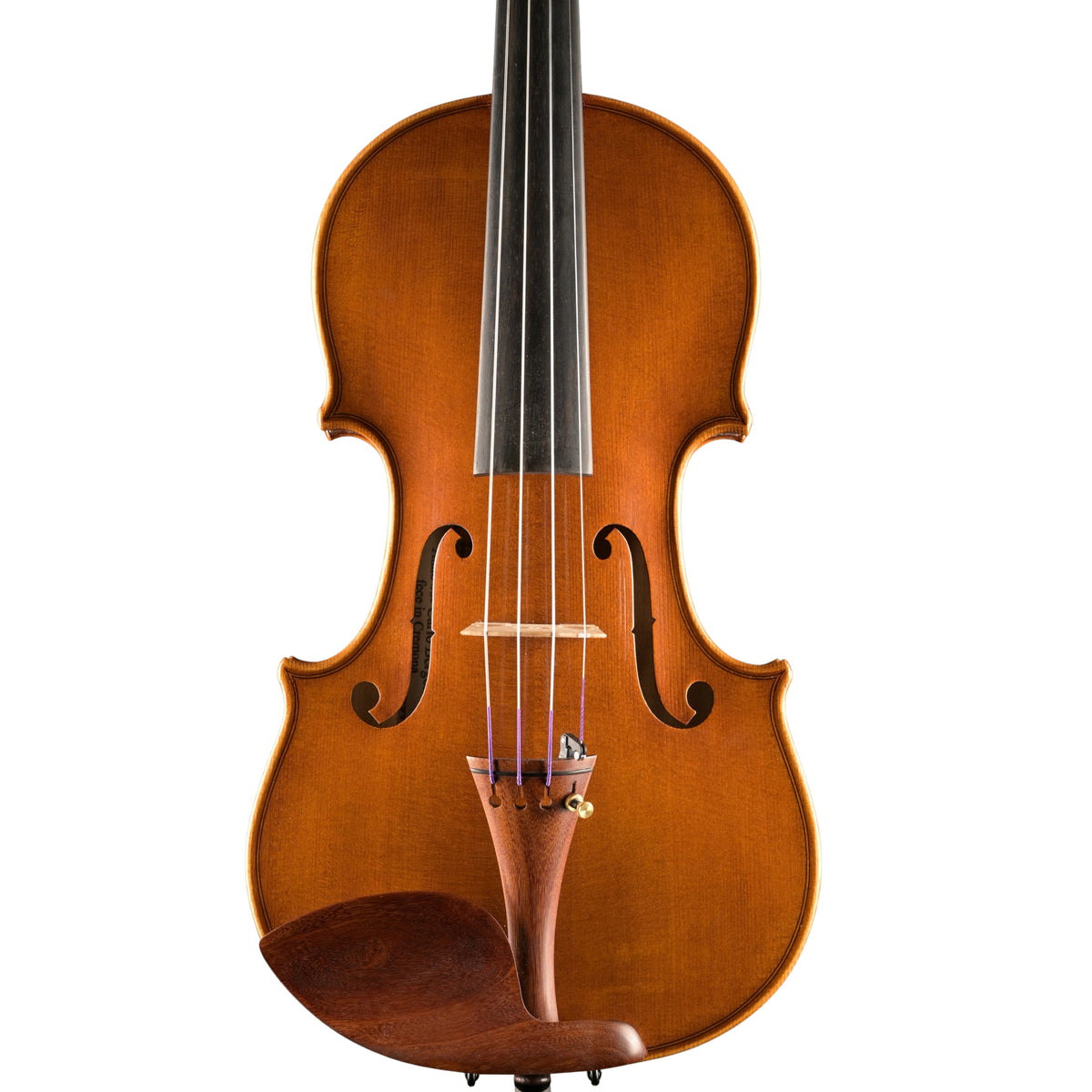 Violine v. David Lien, Bergonzi-Kopie 1736