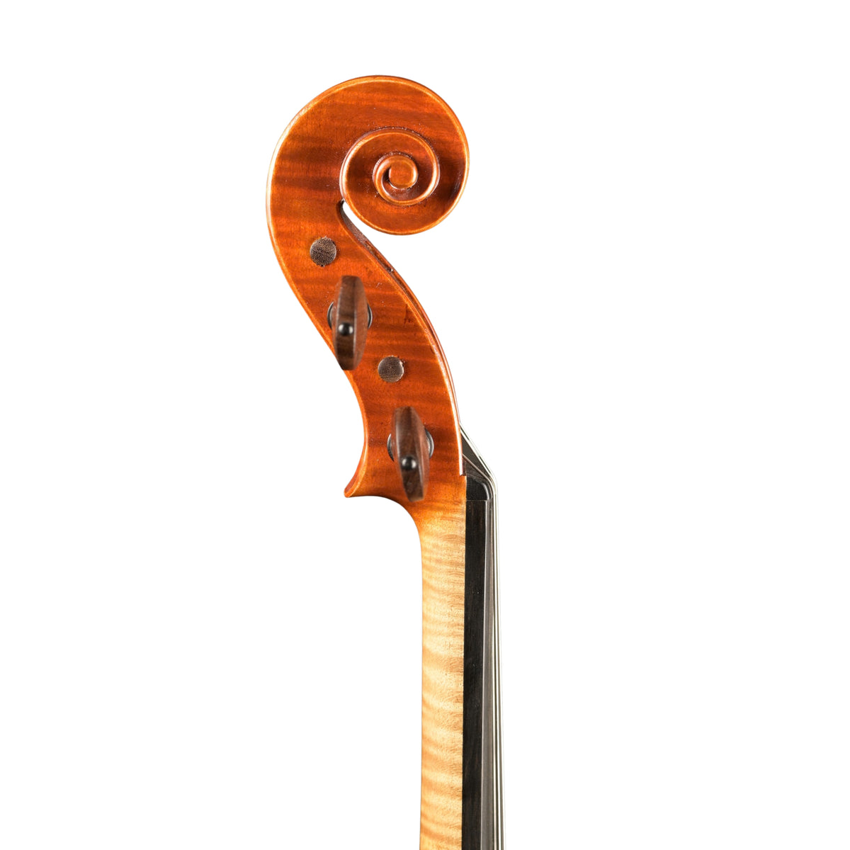 Meistervioline v. David Lien, 2026