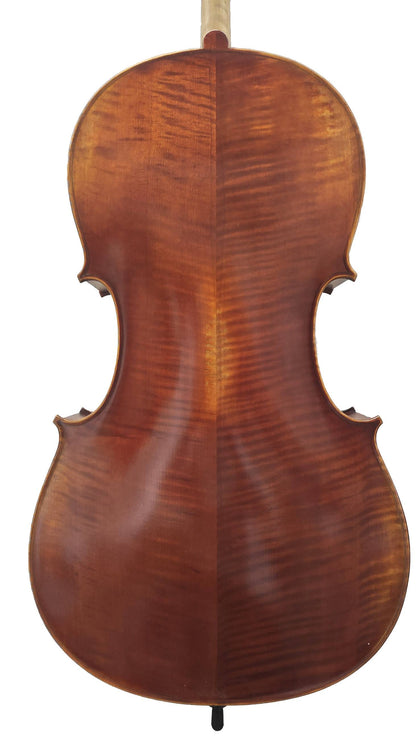 Cello v. David Lien, Professional B, antik schattiert