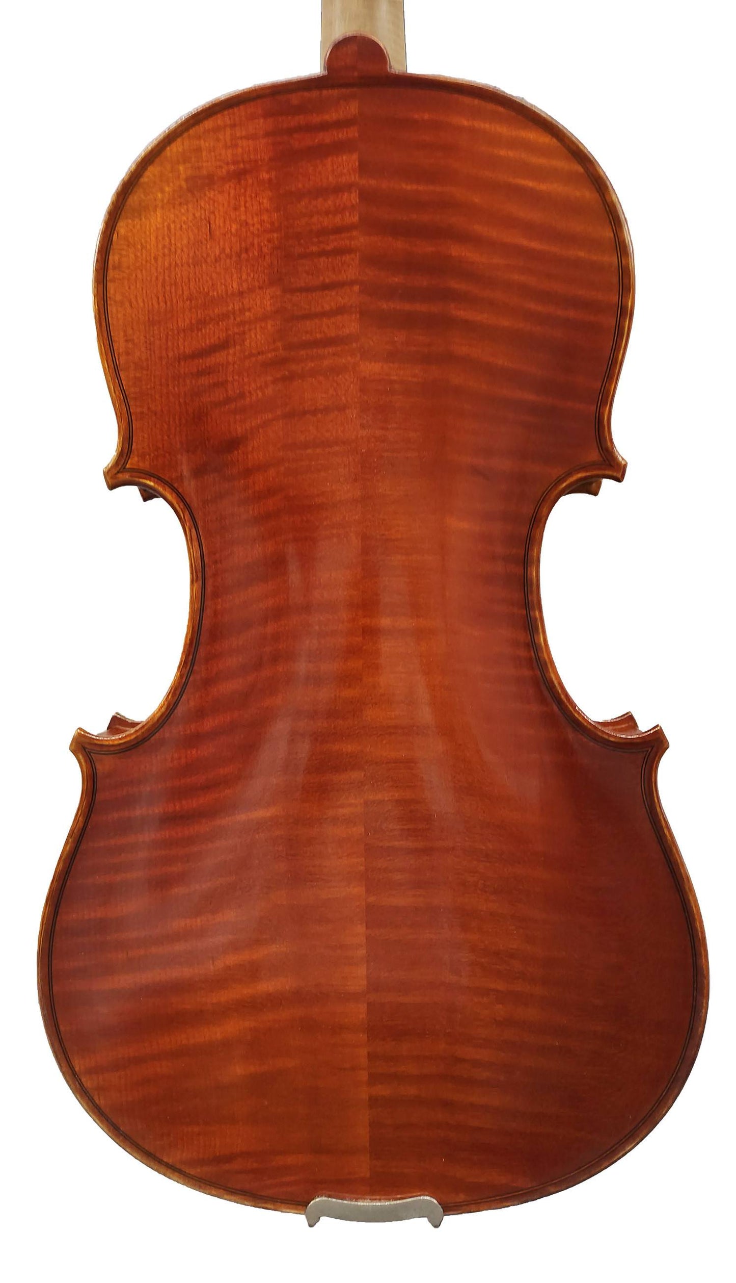 Viola Bratsche David Lien, Professional B, 3 Größen 38,5cm-40,5cm