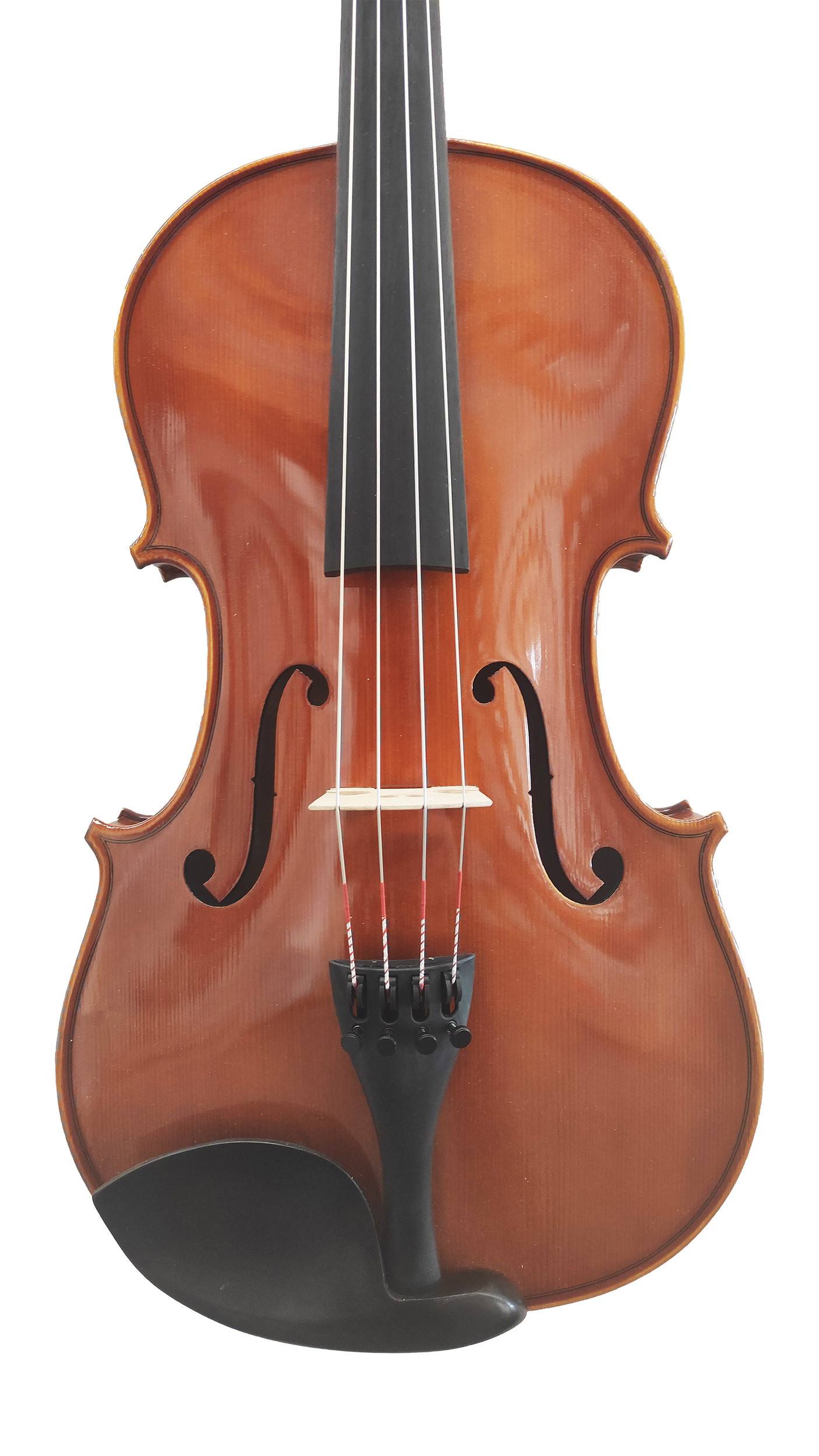 Viola Bratsche David Lien, Professional A, 2 Größen 39,5cm-40,5cm