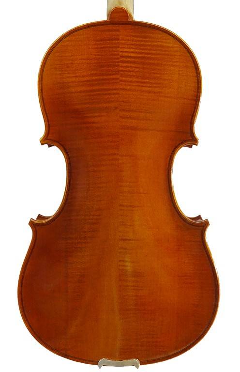 Viola/Bratsche David Lien Professional B Gr. 16'' inkl. Koffer/Carbonbogen